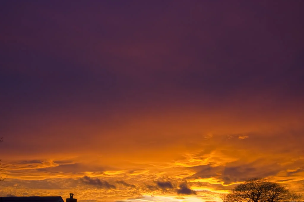 DSC_0031.webp