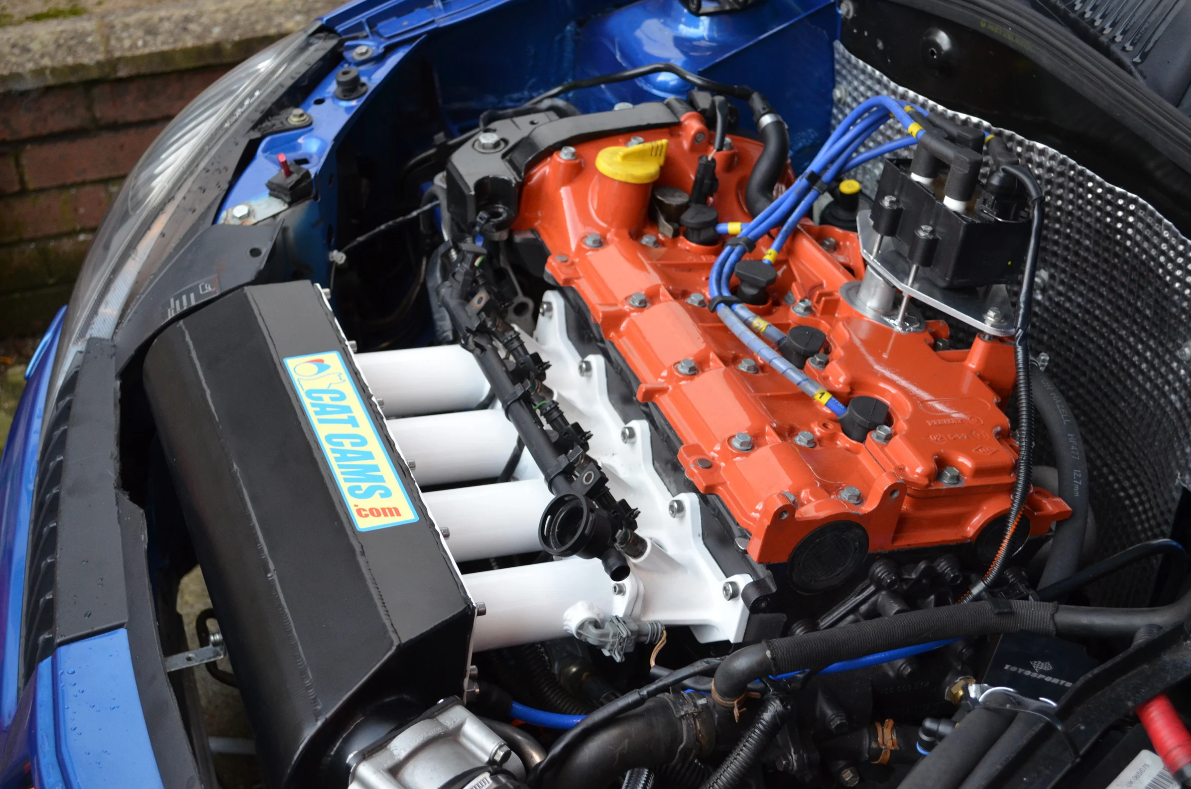 DSC_0032.webp
