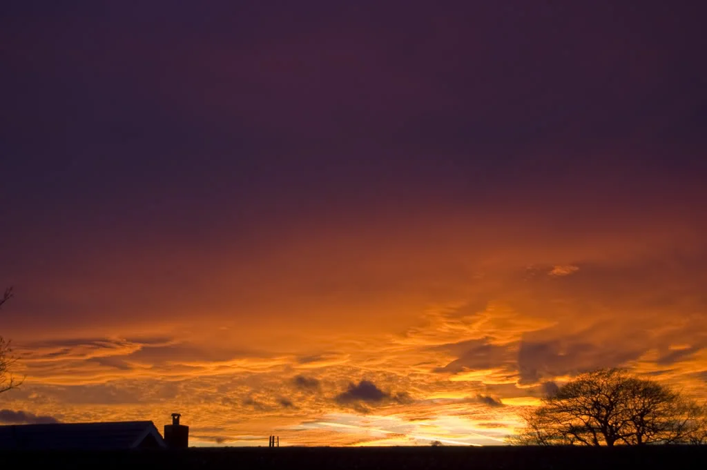 DSC_0032.webp