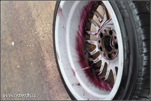 DSC_0033.jpg DSC_0033.jpg