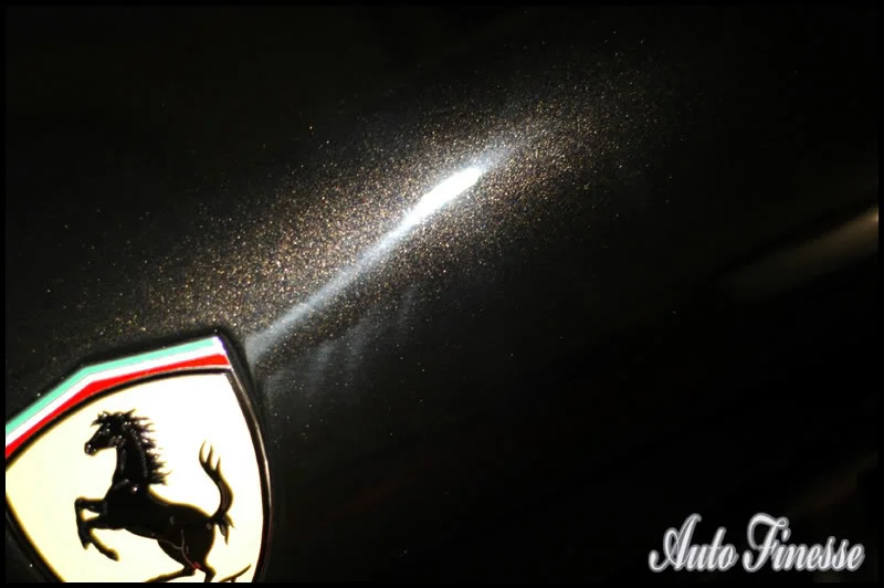 DSC_0034-1.webp