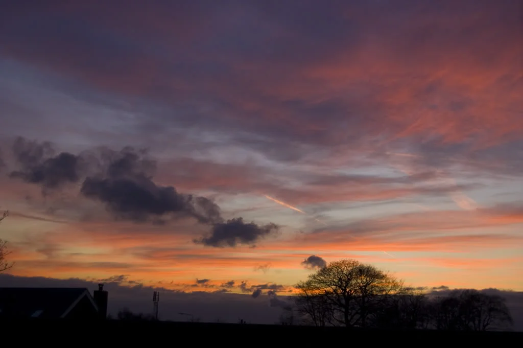 DSC_0034.webp