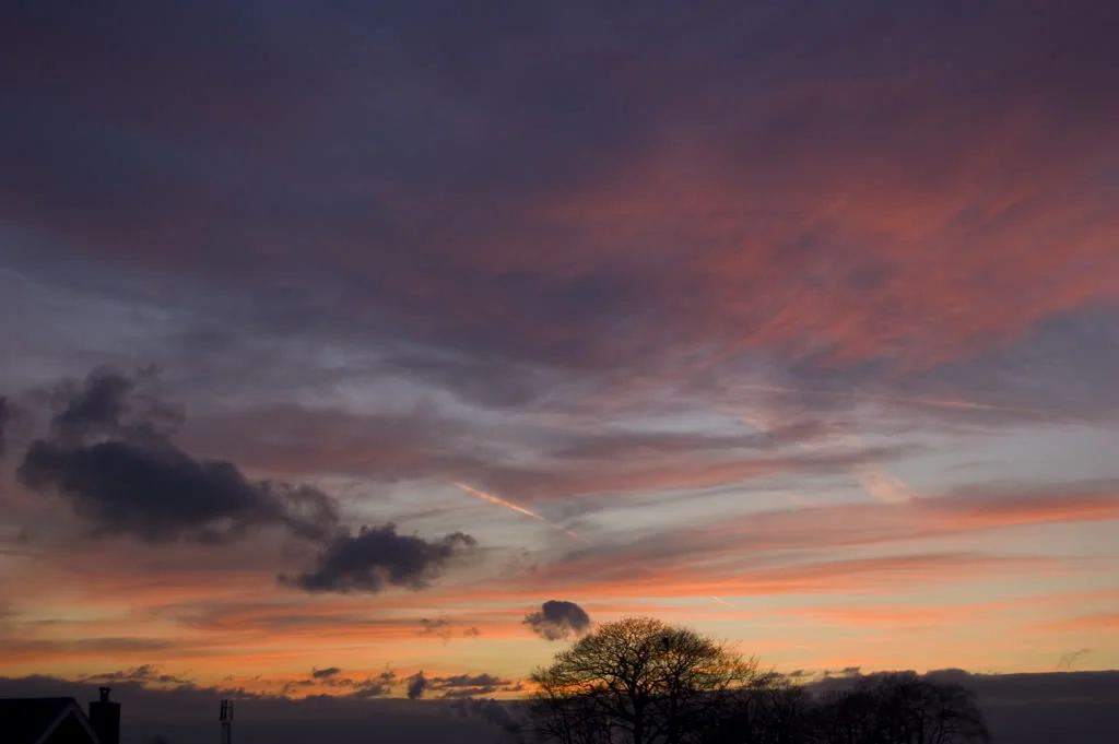 DSC_0035.webp