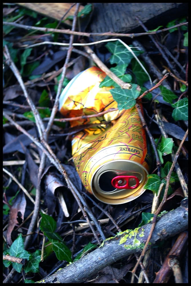 DSC_0036.webp
