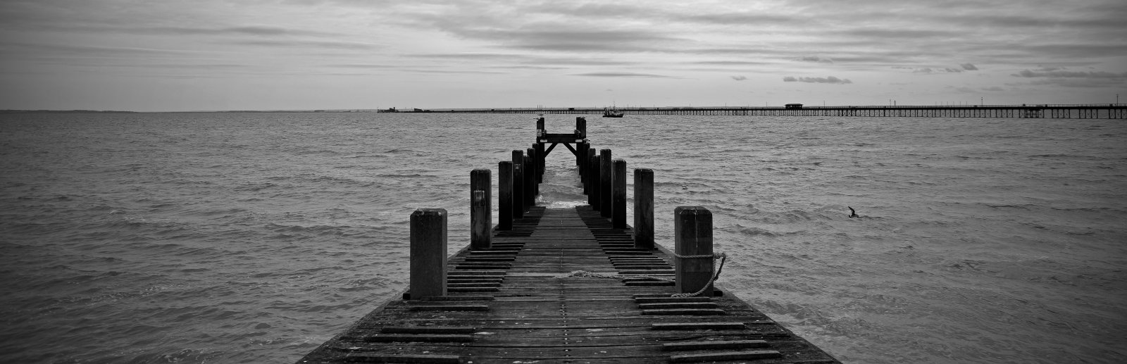 DSC_0038 copy copy copy.jpg