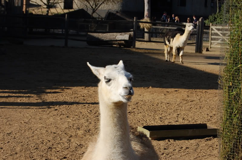 DSC_0039-Edit.jpg DSC_0039-Edit.jpg