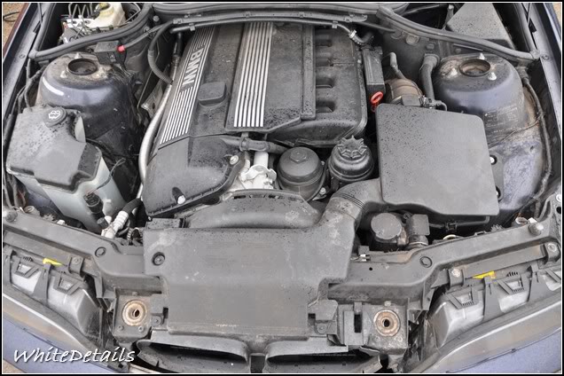 DSC_0042.jpg DSC_0042.jpg