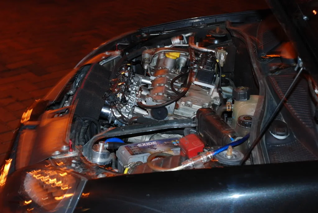 DSC_0042.webp