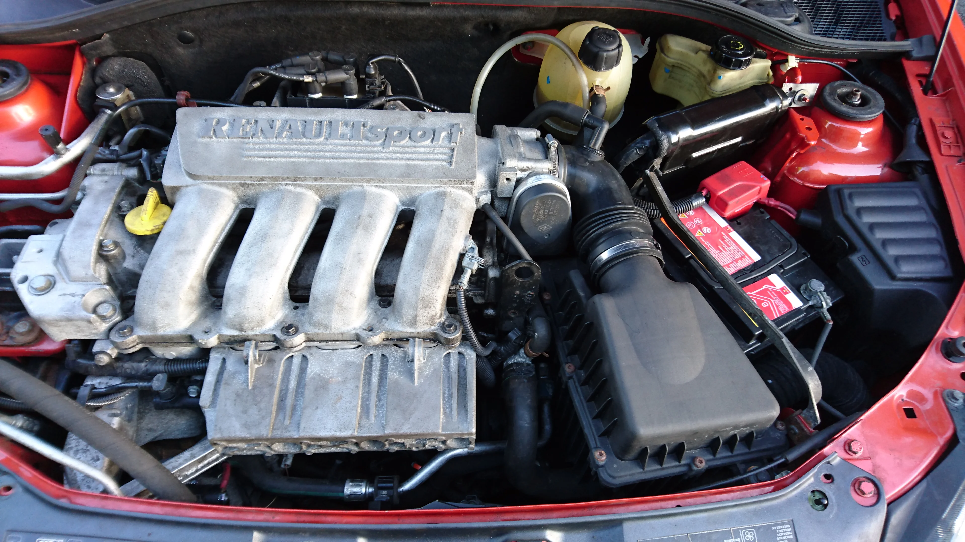 DSC_0043.webp