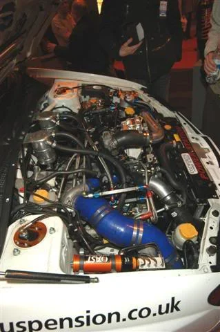 DSC_0043Small.webp