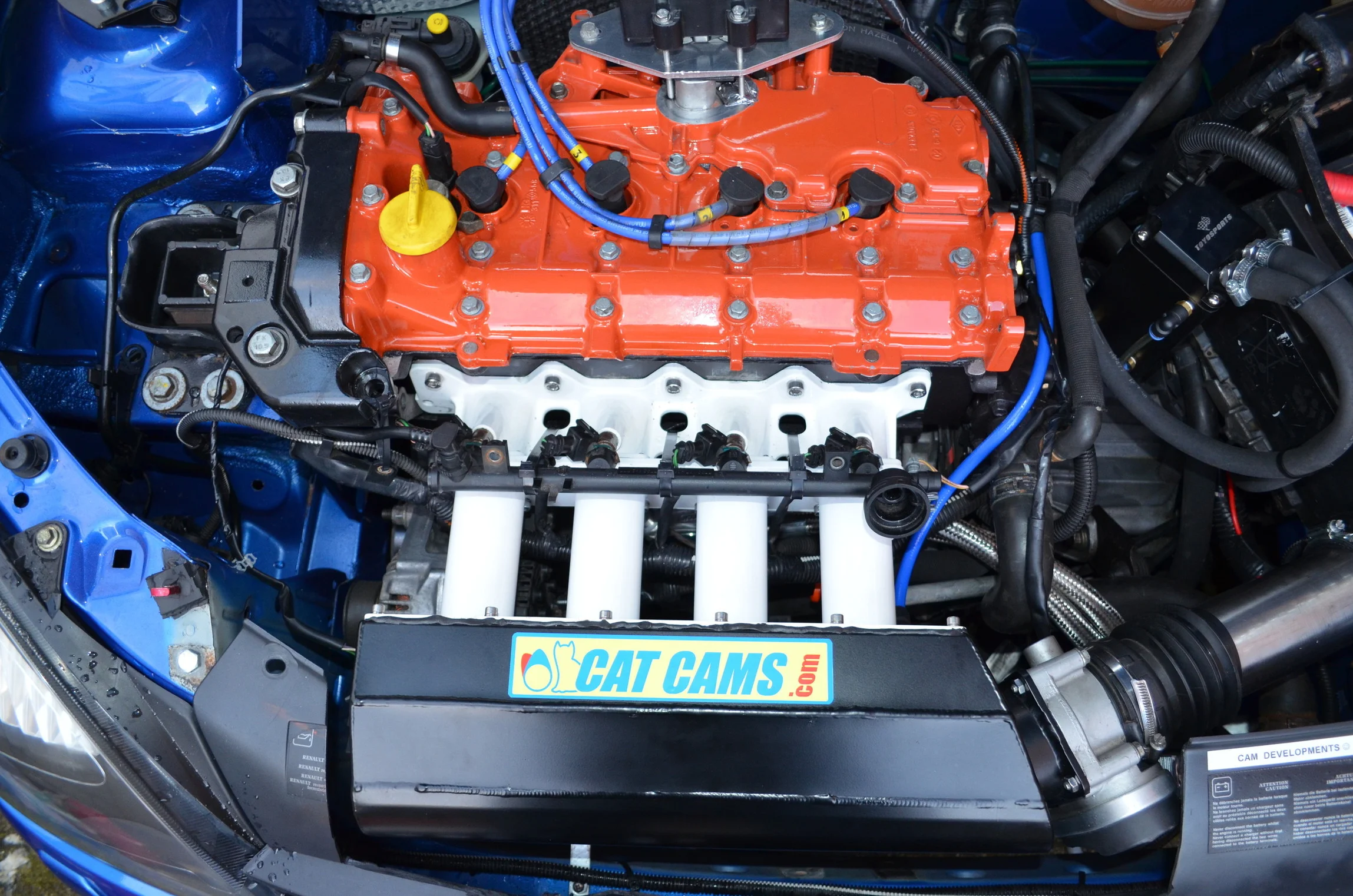 DSC_0044.webp