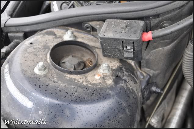 DSC_0045.jpg DSC_0045.jpg