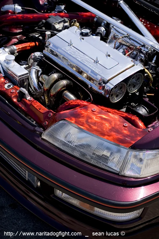 dsc_00451.webp