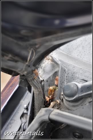 DSC_0046.jpg DSC_0046.jpg