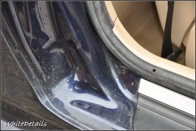 DSC_0049.jpg DSC_0049.jpg