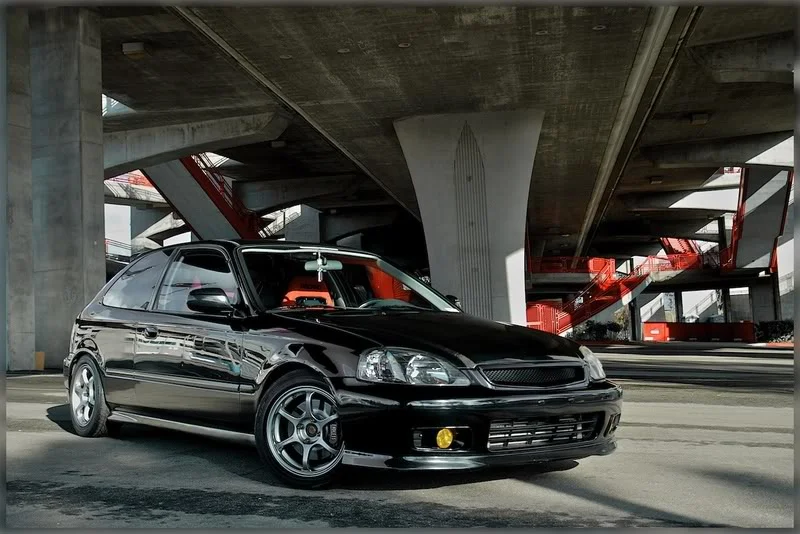 DSC_0050.webp
