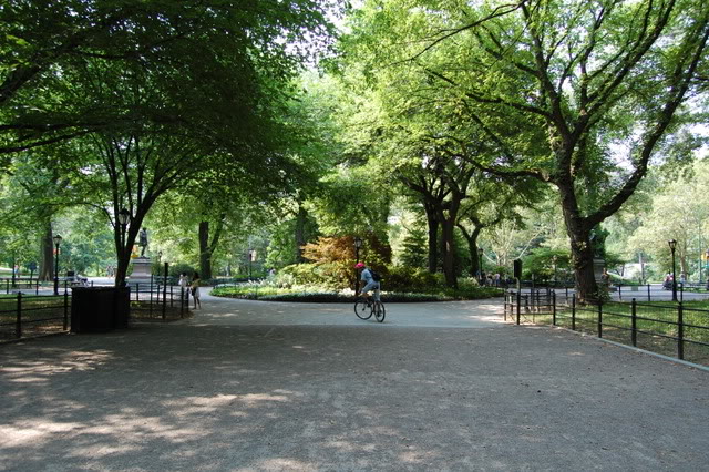 DSC_0051.jpg DSC_0051.jpg