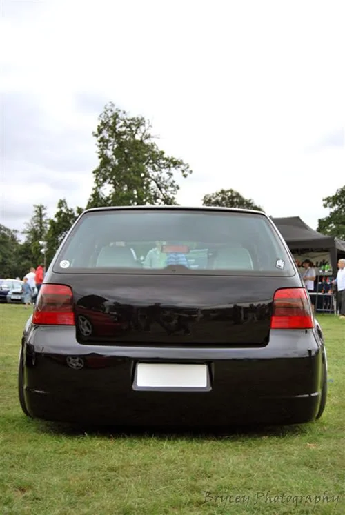 DSC_0051-Large.webp