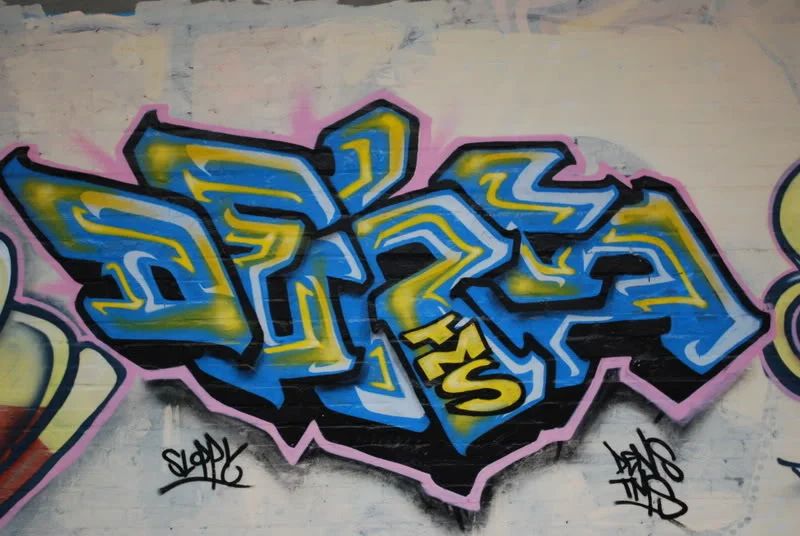 DSC_0054.webp