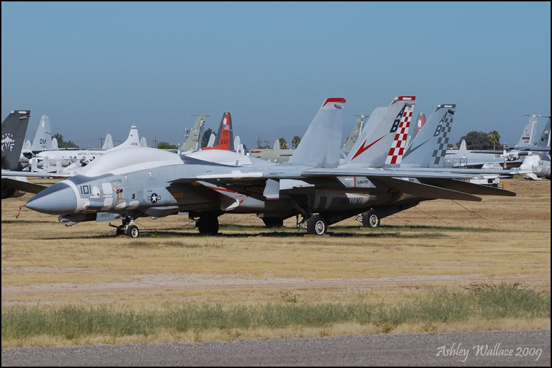 DSC_0055_f-14.jpg