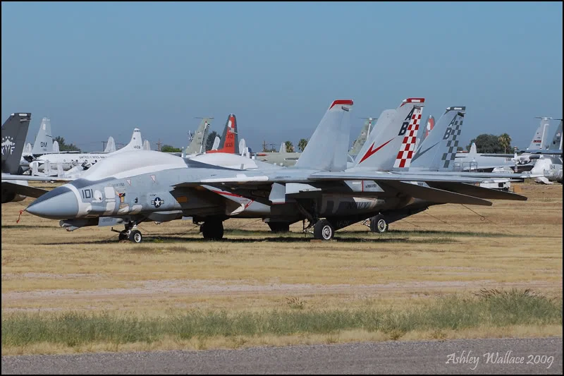 DSC_0055_f-14.webp