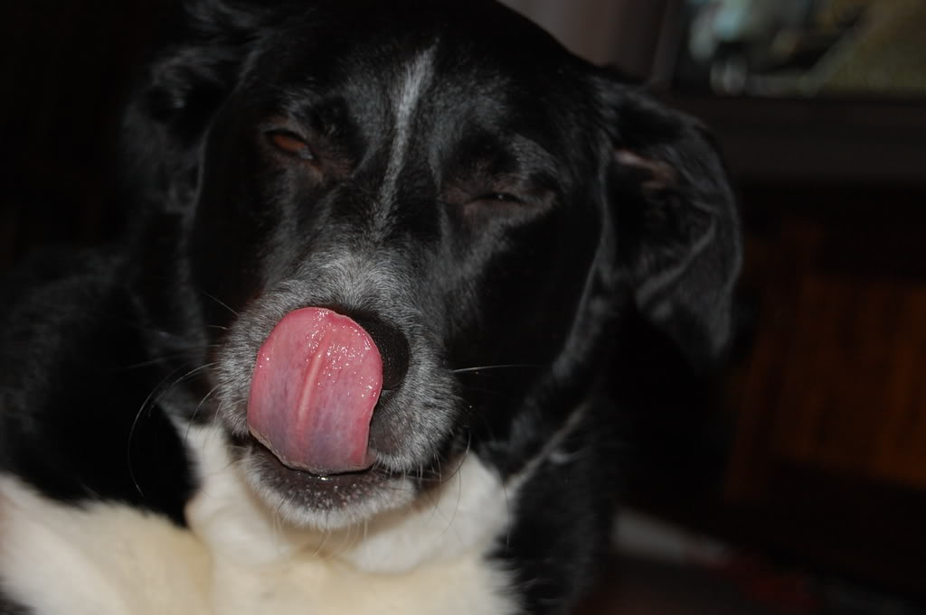 DSC_0060.jpg DSC_0060.jpg