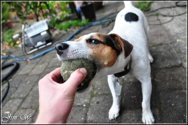 DSC_0062.jpg DSC_0062.jpg