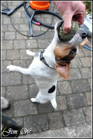 DSC_0065.jpg DSC_0065.jpg