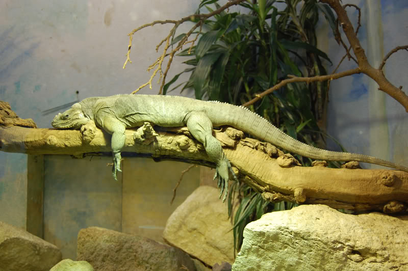 DSC_0067-Edit.jpg DSC_0067-Edit.jpg