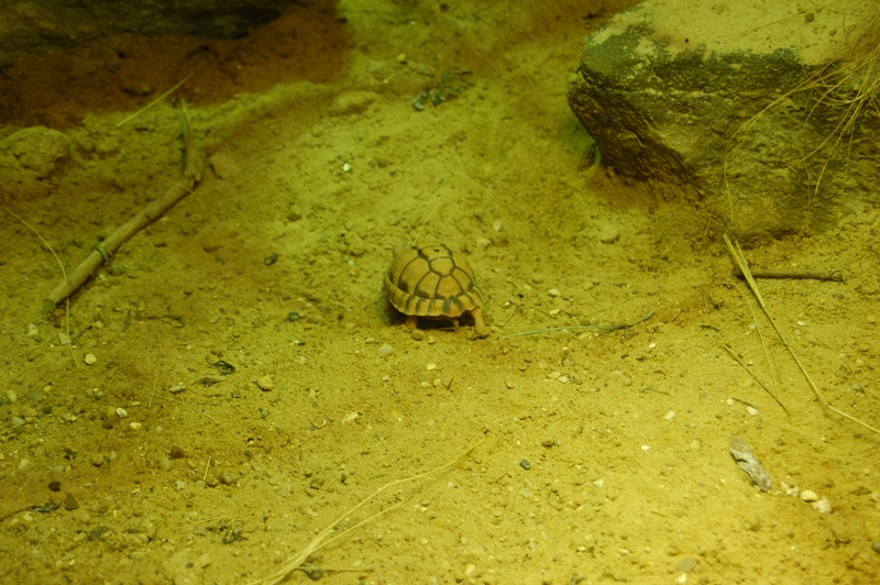 DSC_0068-Edit.jpg DSC_0068-Edit.jpg