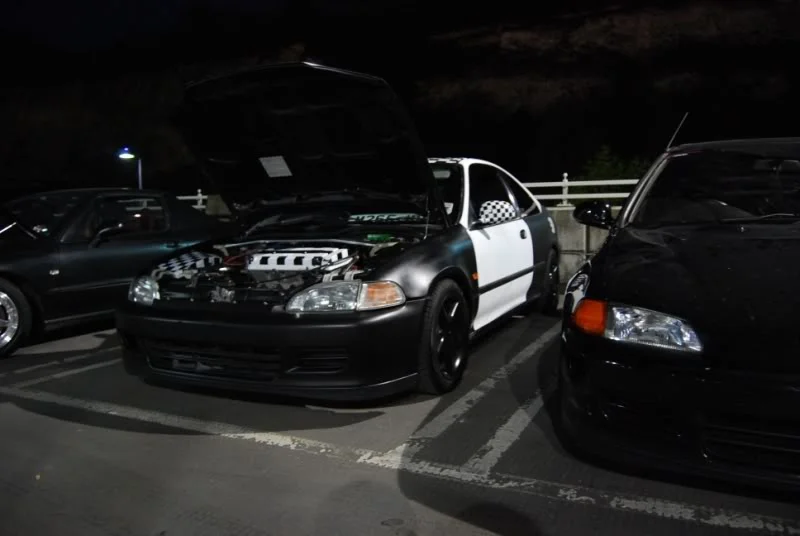 DSC_0069.webp