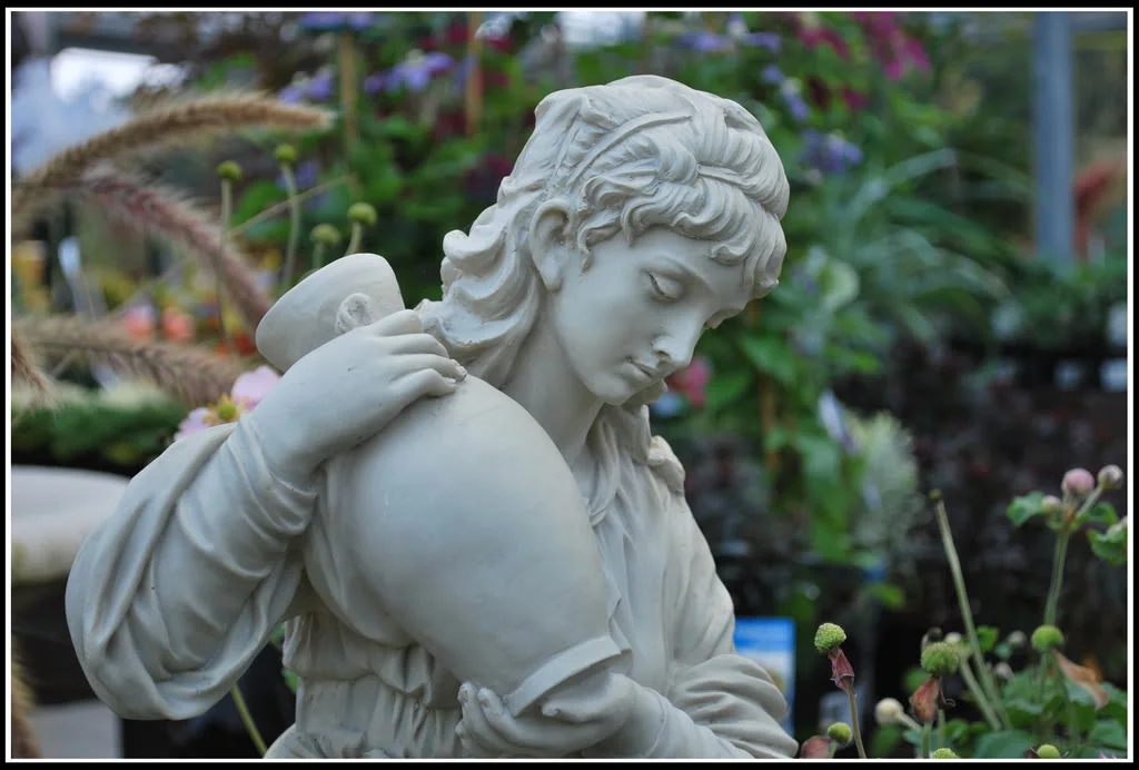 DSC_0071.webp