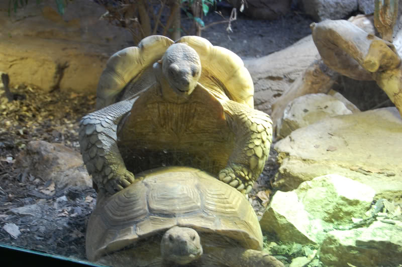 DSC_0073-Edit.jpg DSC_0073-Edit.jpg