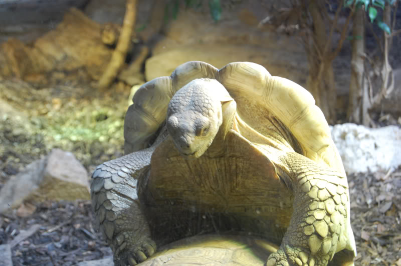 DSC_0074-Edit.jpg DSC_0074-Edit.jpg