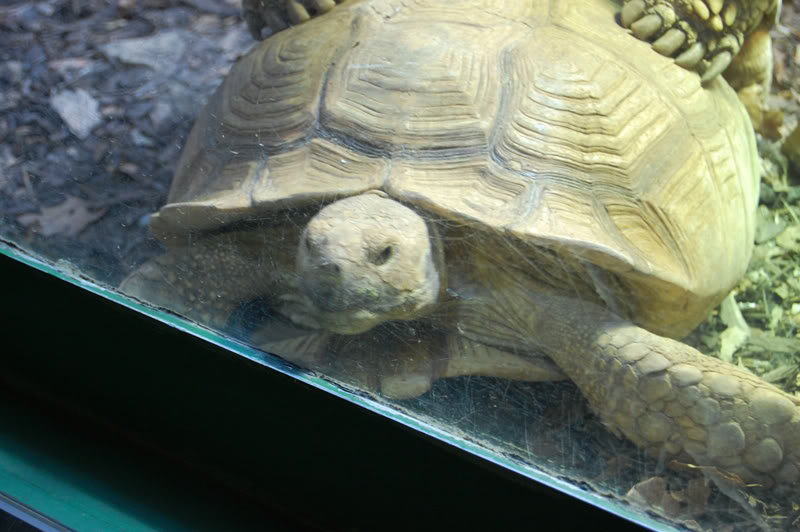 DSC_0075-Edit.jpg DSC_0075-Edit.jpg