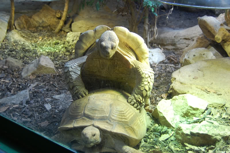 DSC_0076-Edit.jpg DSC_0076-Edit.jpg