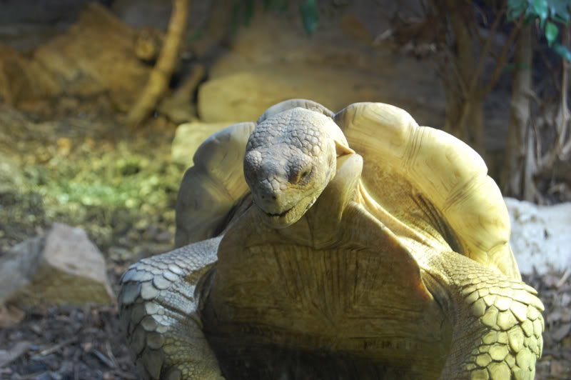 DSC_0077-Edit.jpg DSC_0077-Edit.jpg