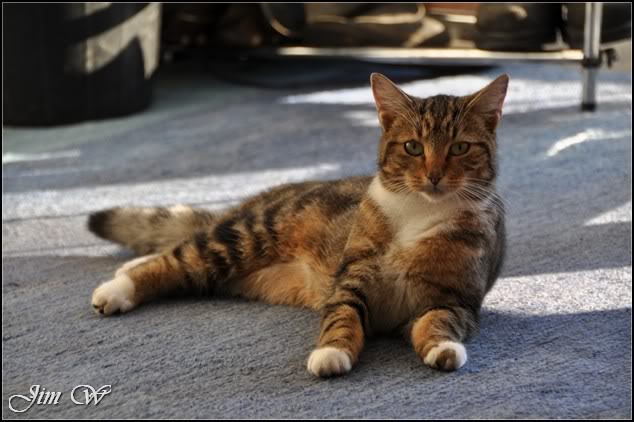 DSC_0077.jpg DSC_0077.jpg