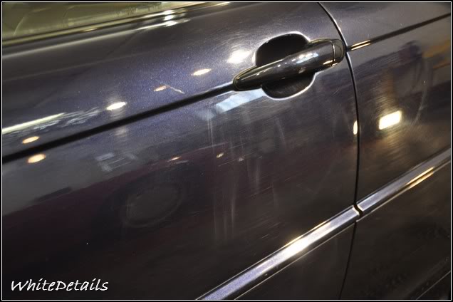 DSC_0077.jpg DSC_0077.jpg