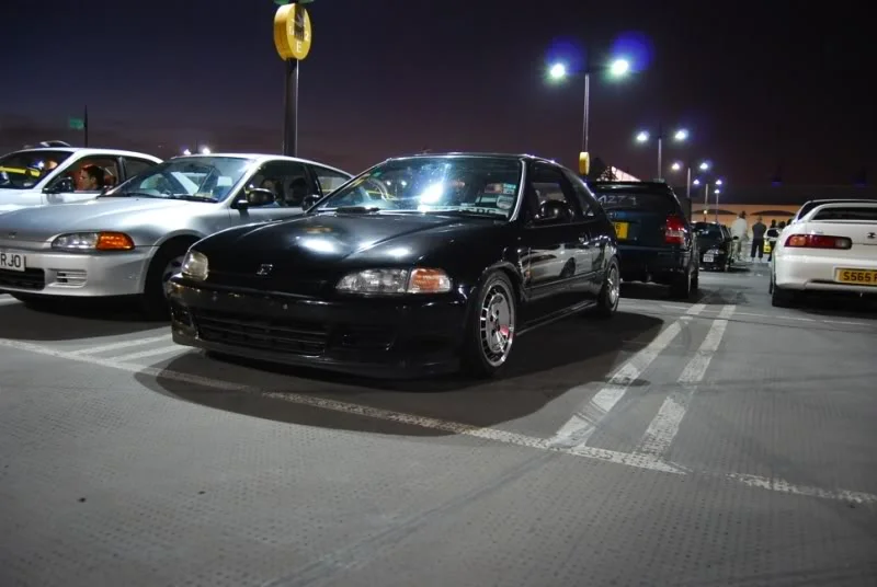 DSC_0081.webp