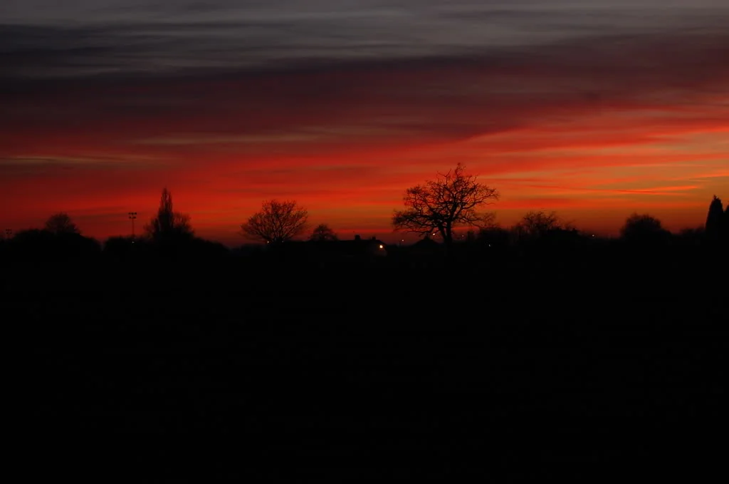 DSC_0082.webp