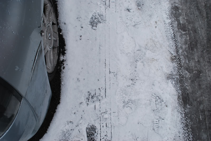 DSC_0084.jpg