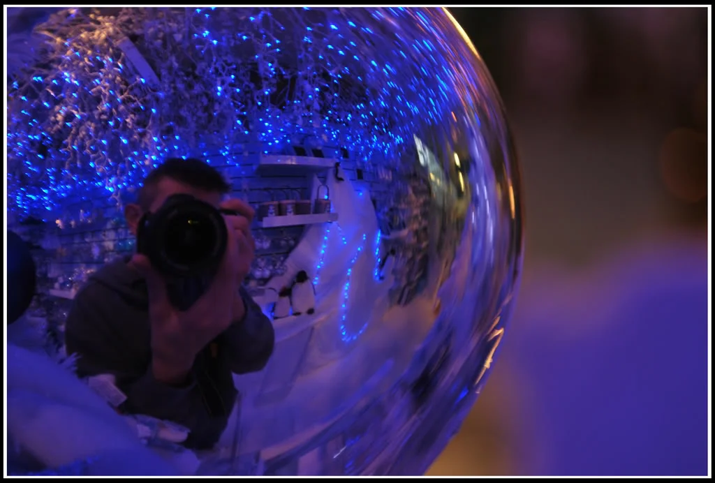 DSC_0084.webp