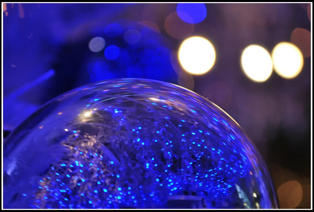DSC_0085.webp