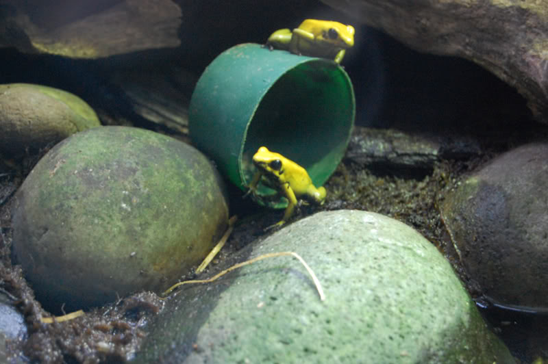 DSC_0086-Edit.jpg DSC_0086-Edit.jpg