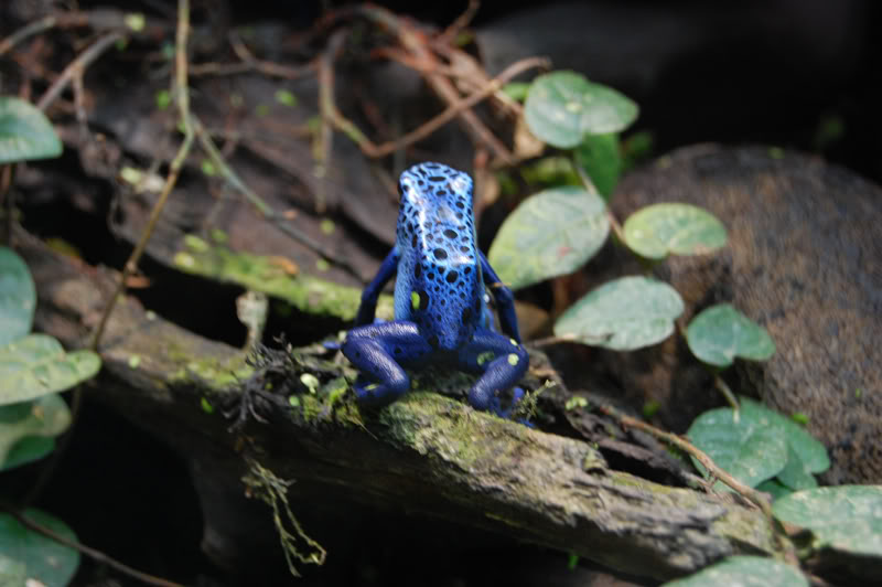 DSC_0087-Edit.jpg DSC_0087-Edit.jpg