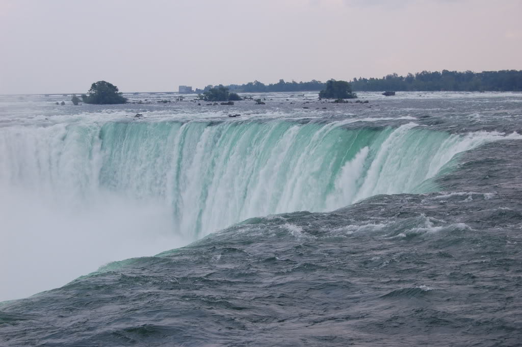 DSC_00870072.jpg DSC_00870072.jpg