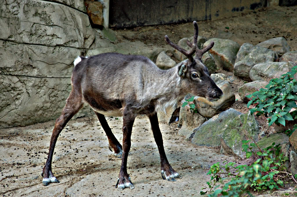 DSC_0088.jpg