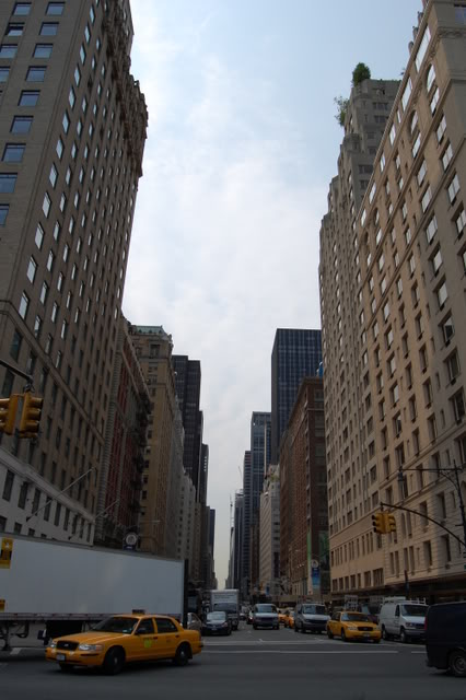 DSC_0090.jpg DSC_0090.jpg