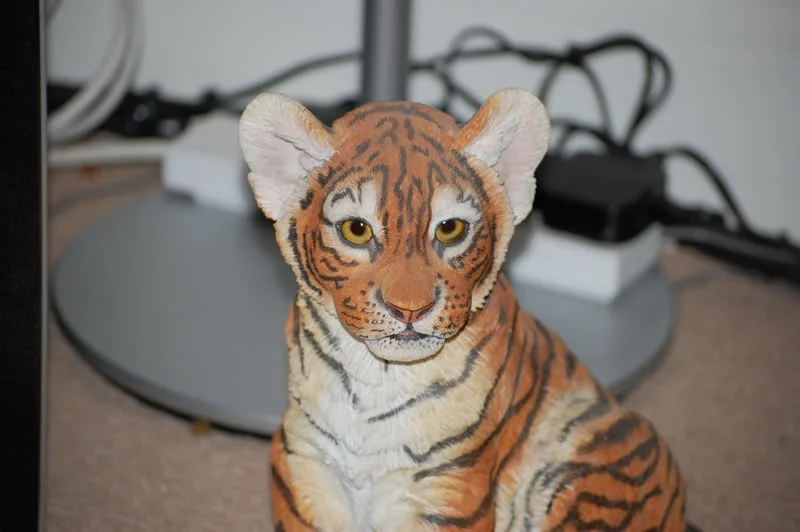DSC_0090.webp